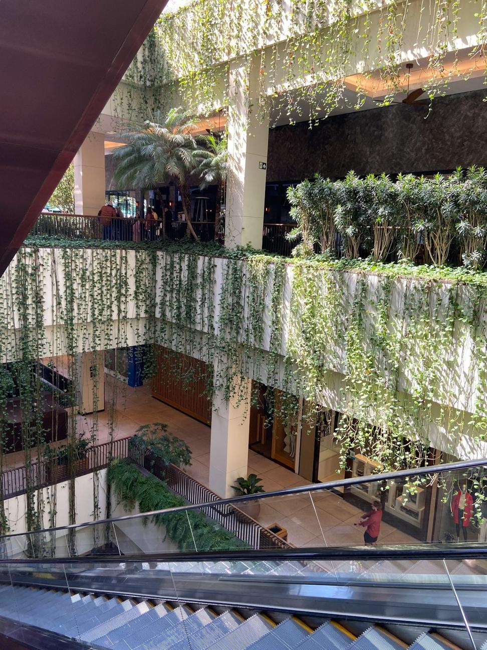 Conference Facilities